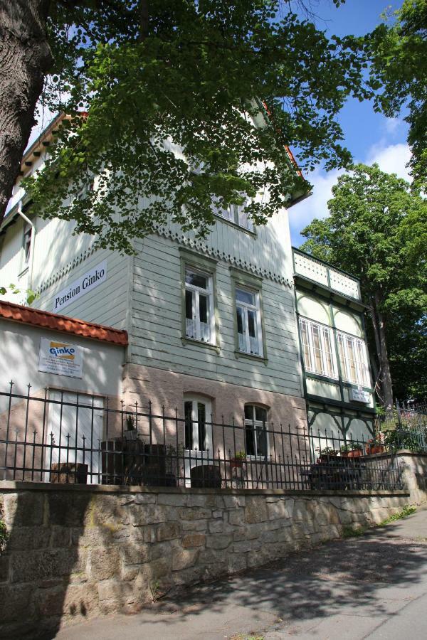 Pension Ginko Wernigerode Exterior photo